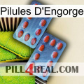 Engorge Pills 05